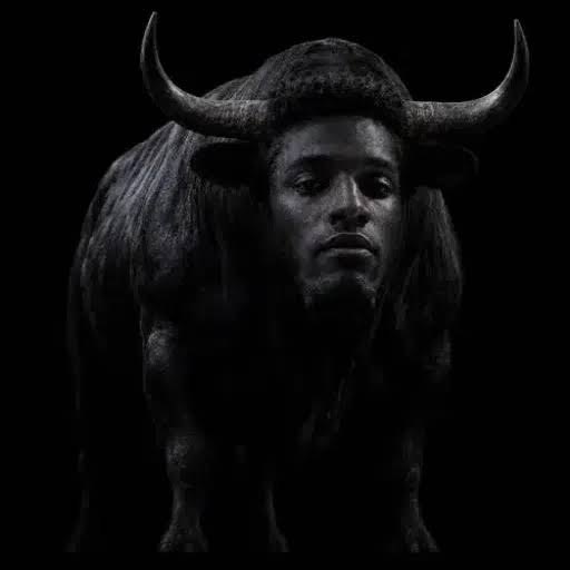 Black Bull token mark